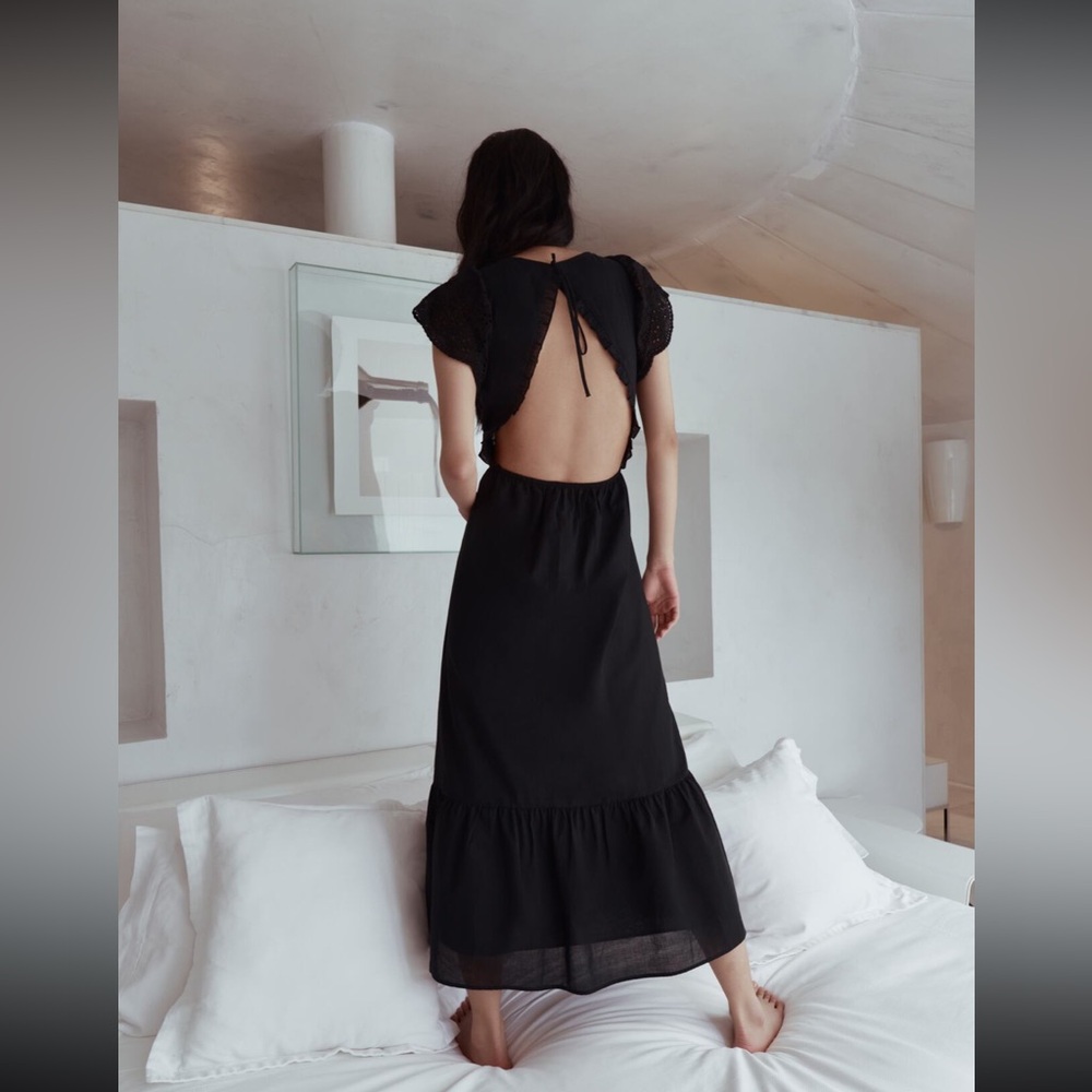 NWOT Zara Openwork embroidered midi dress